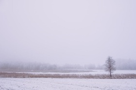 foggysnow.jpg